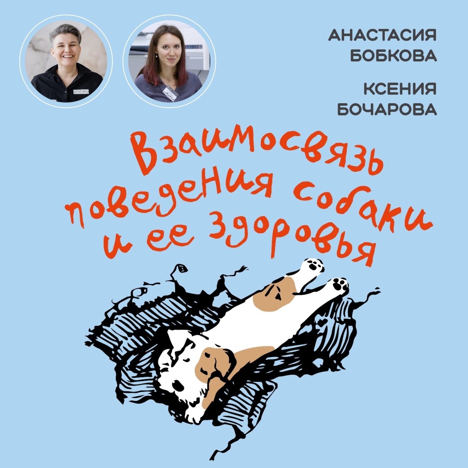 Обложка книги «Взаимосвязь поведения собаки и ее здоровья»