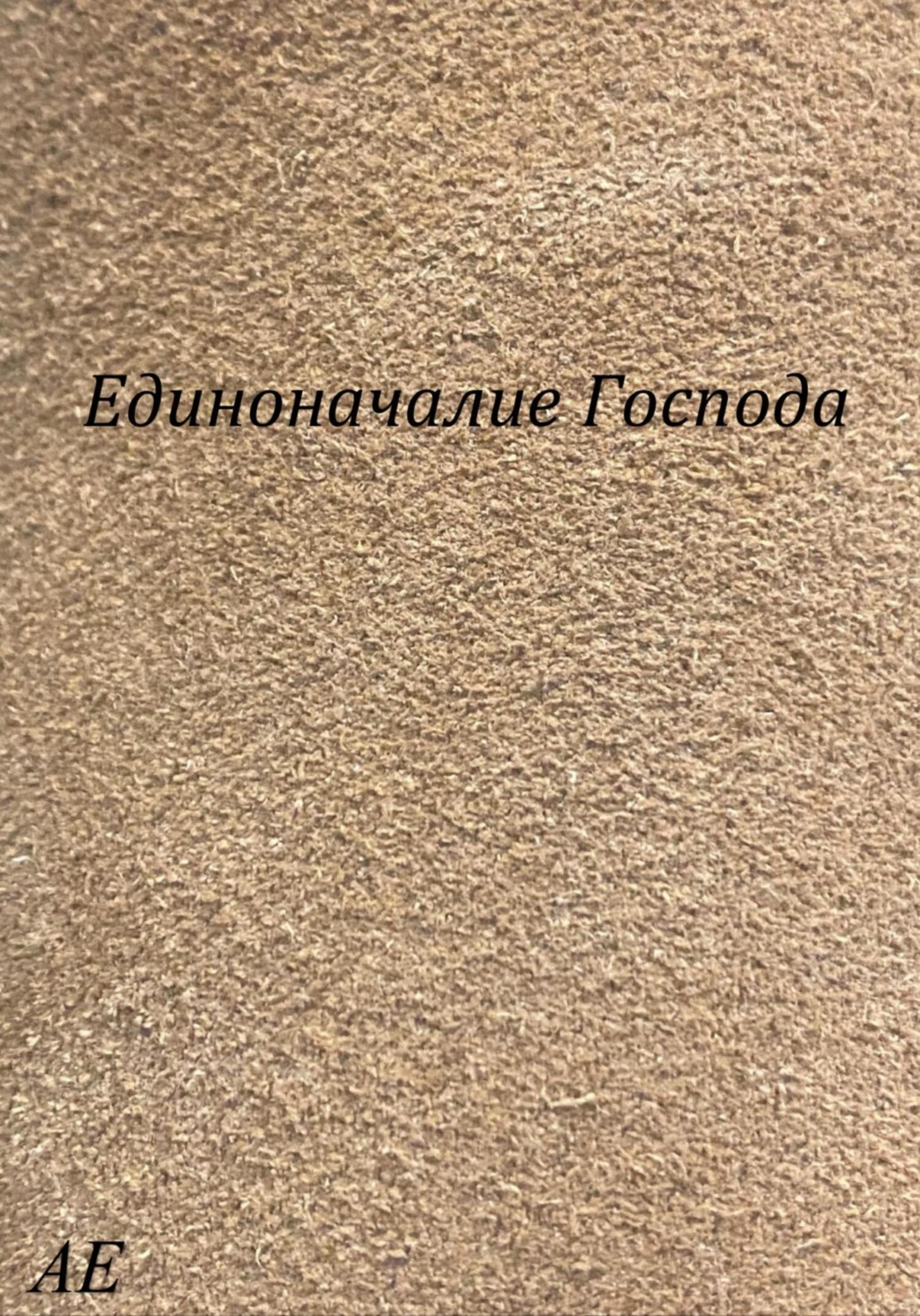 Обложка книги «Единоначалие Господа»