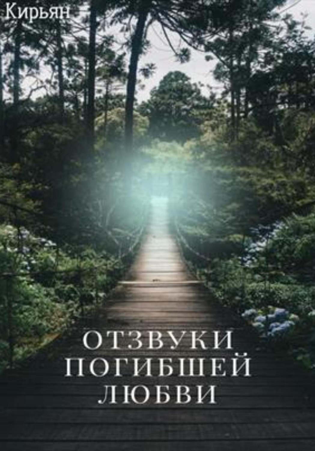 Обложка книги «Отзвуки погибшей любви»