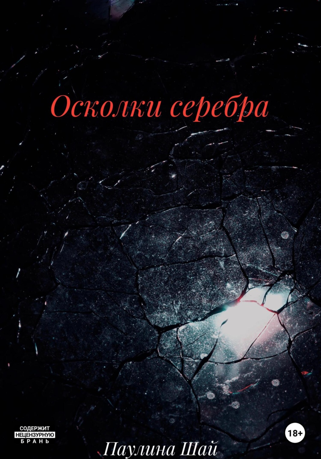 Обложка книги «Осколки серебра»