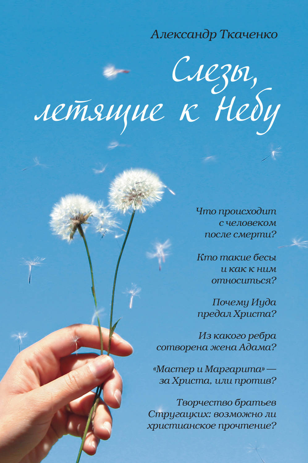 Обложка книги «Слезы, летящие к небу»
