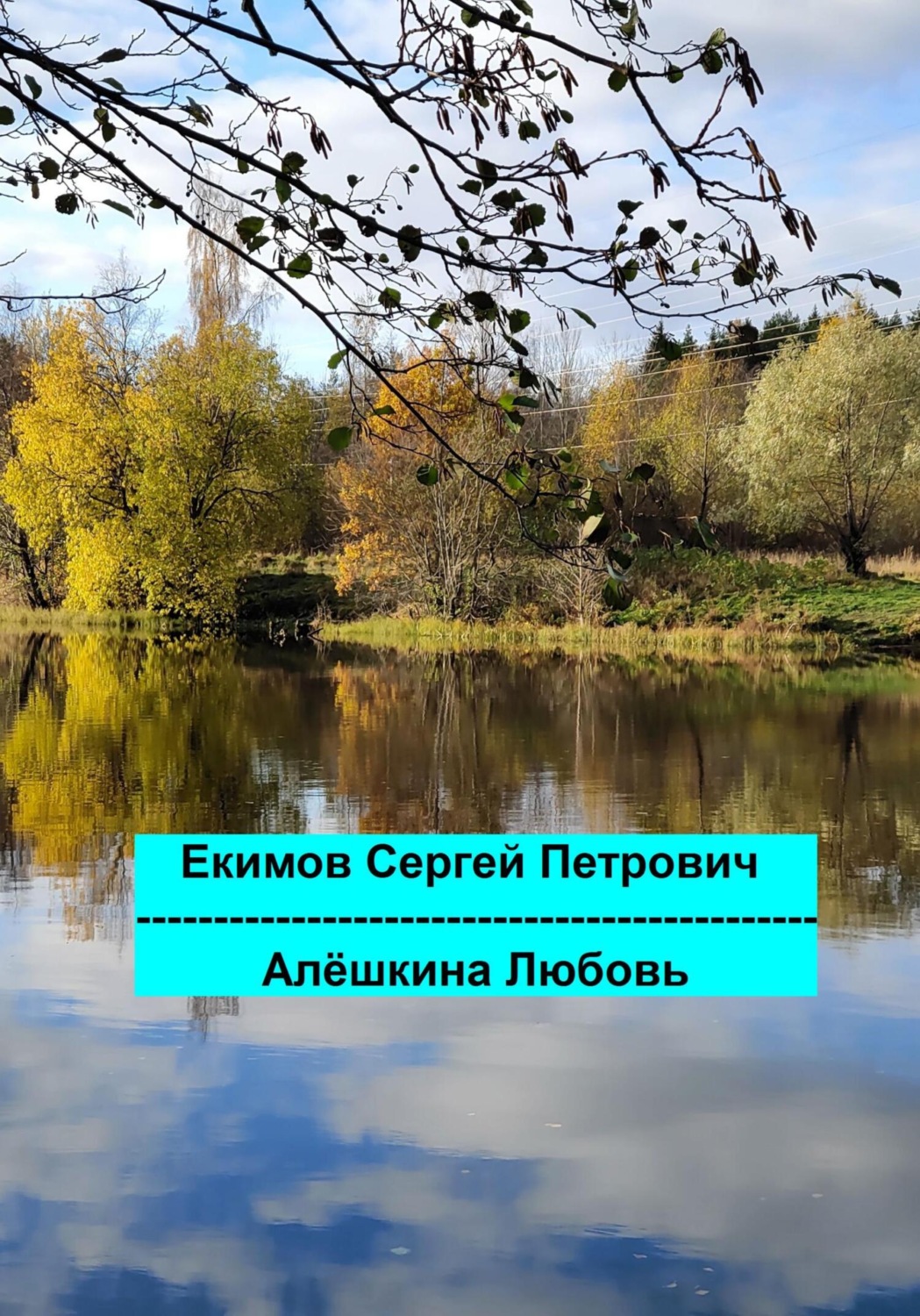 Обложка книги «Алёшкина любовь»