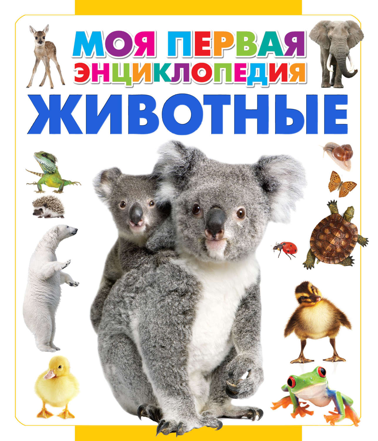 Обложка книги «Животные»