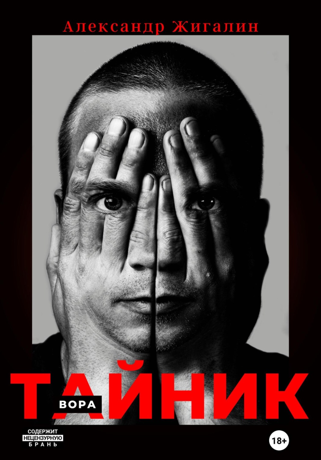 Обложка книги «Тайник вора»