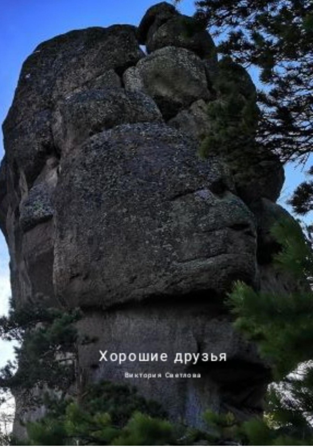 Обложка книги «Хорошие друзья»