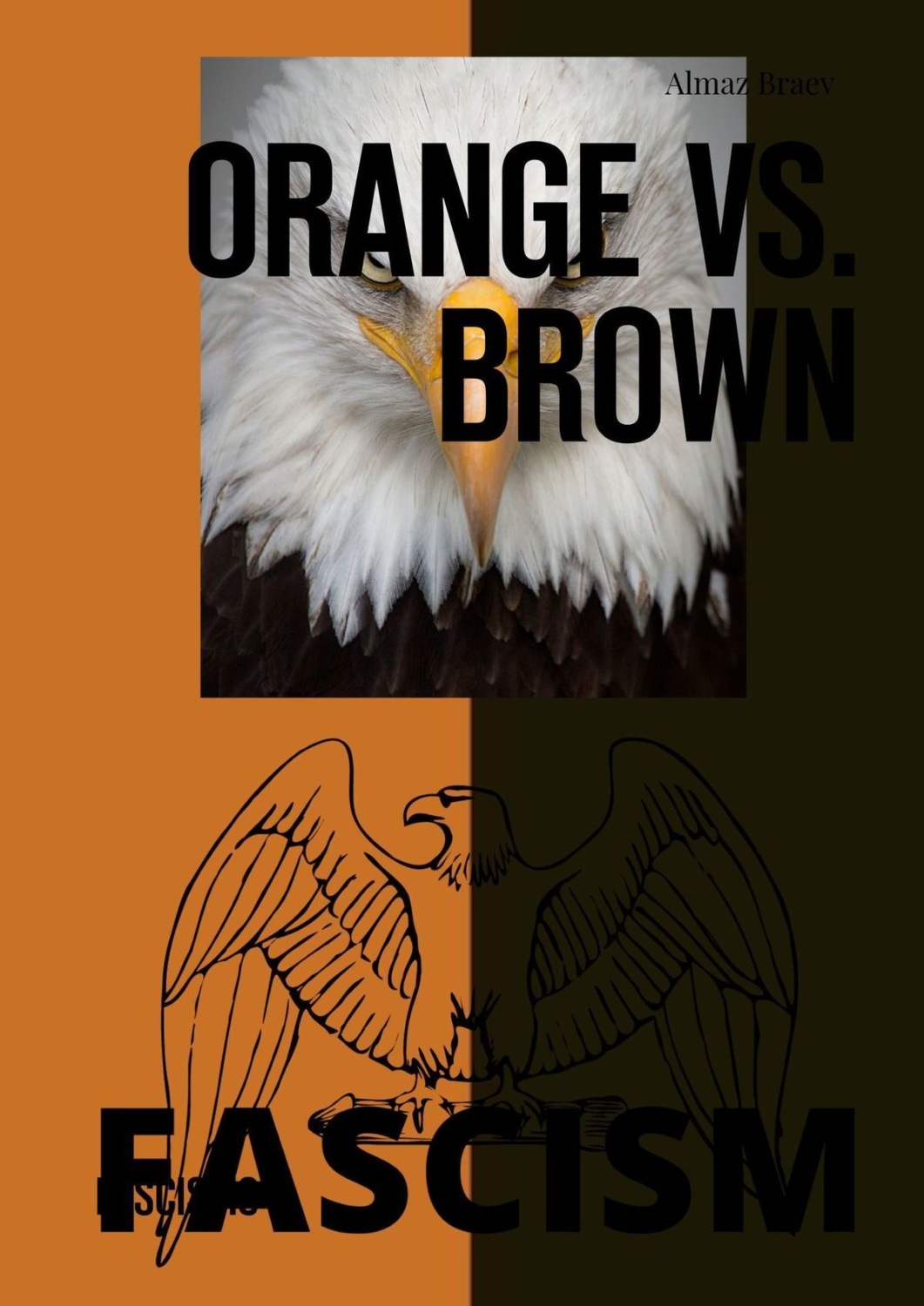 Обложка книги «Orange vs Brown. Fascism»