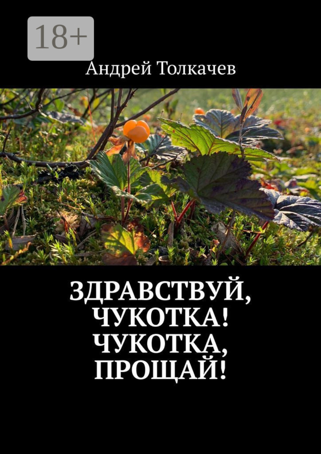 Обложка книги «Здравствуй, Чукотка! Чукотка, прощай!»