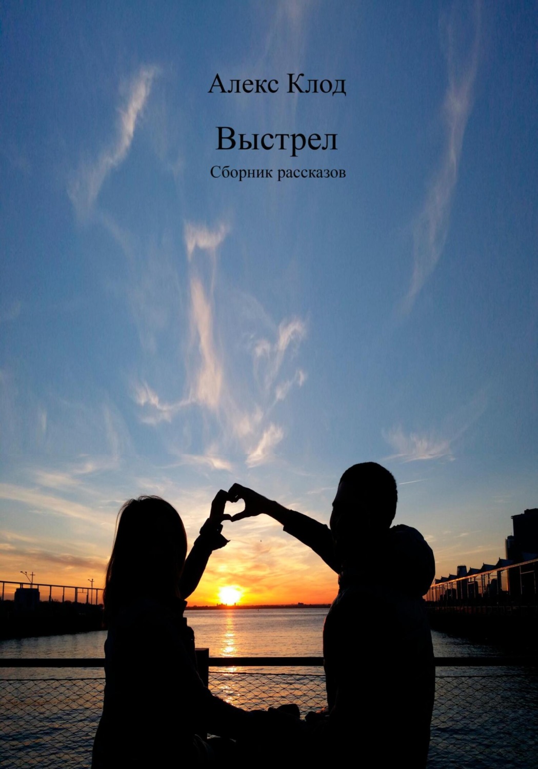 Обложка книги «Выстрел. Сборник рассказов»