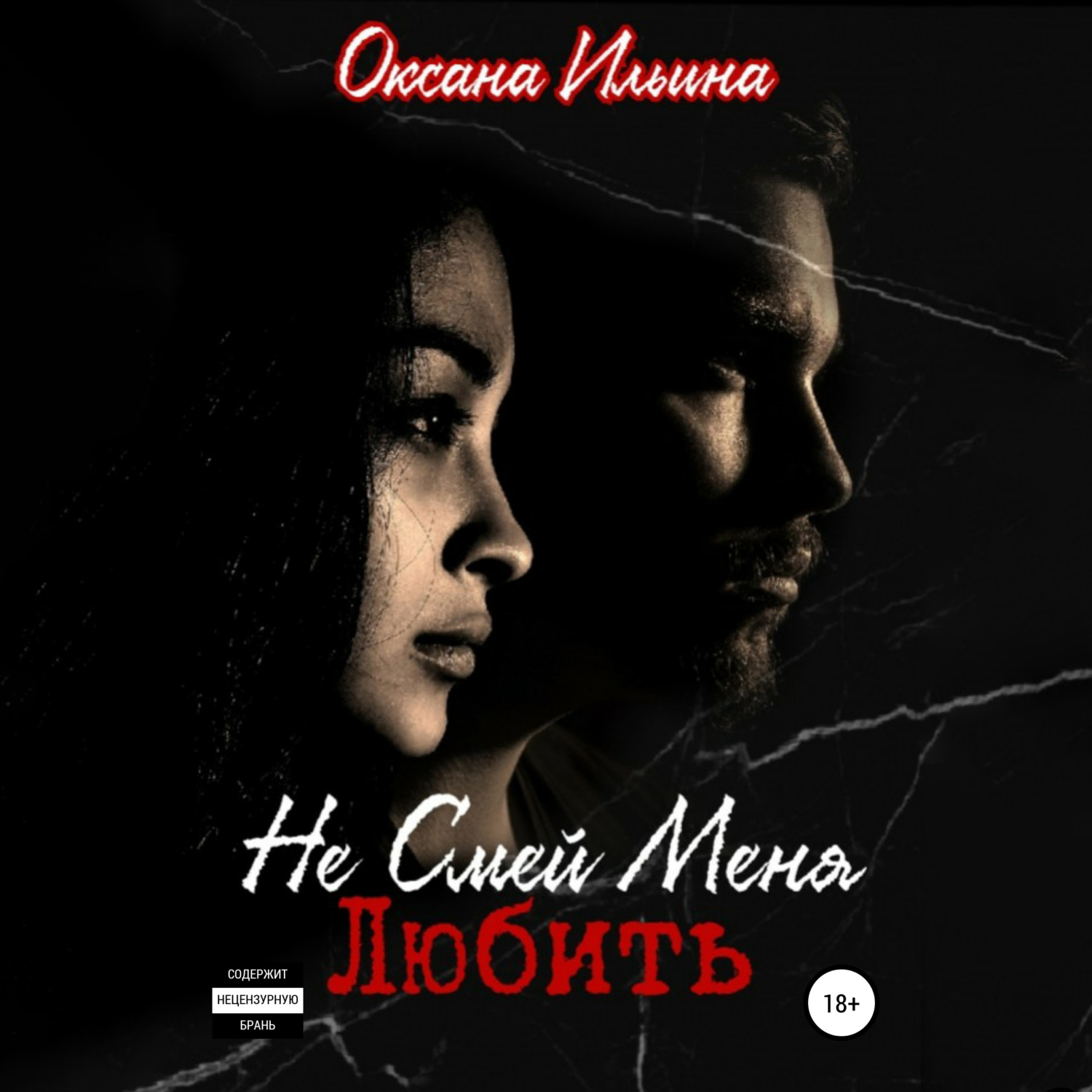 Обложка книги «Не Смей Меня Любить»