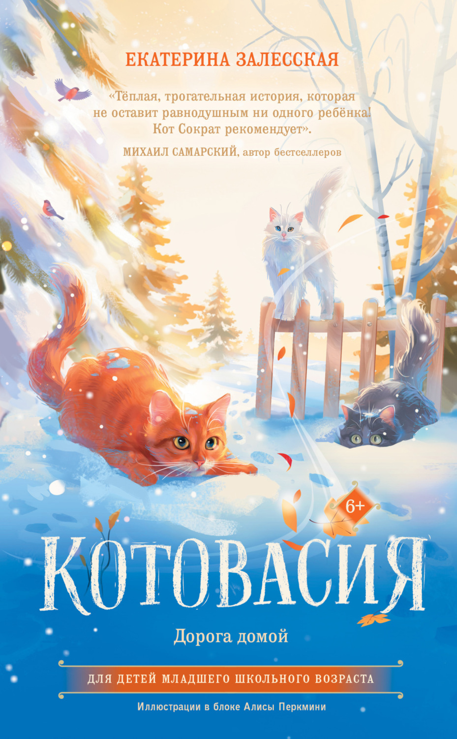 Обложка книги «Котовасия. Дорога домой»