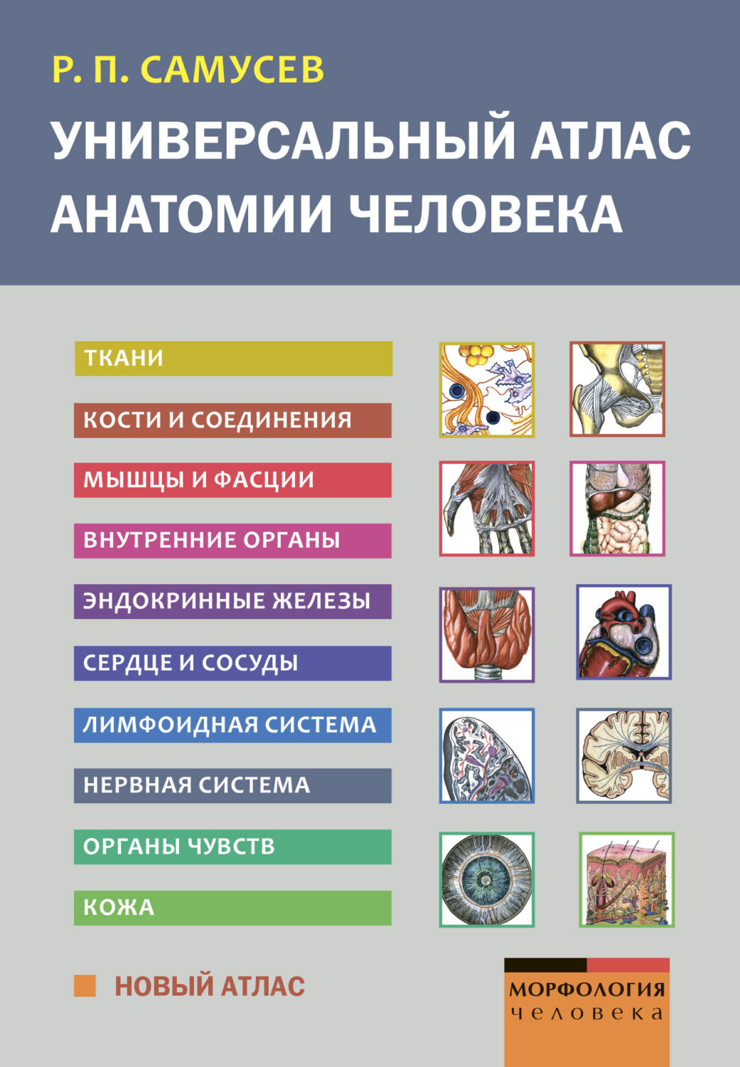 Обложка книги «Универсальный атлас анатомии человека»