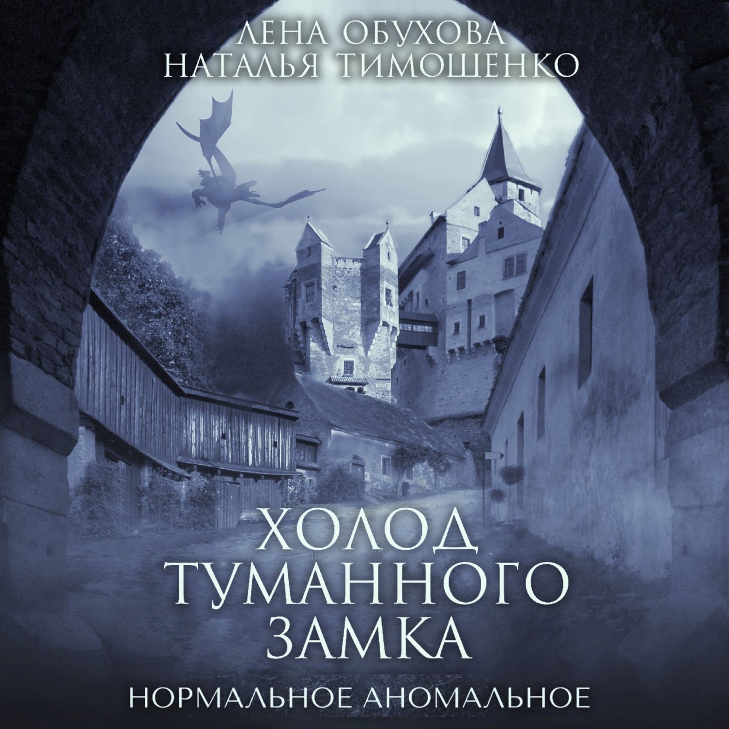 Обложка книги «Холод туманного замка»