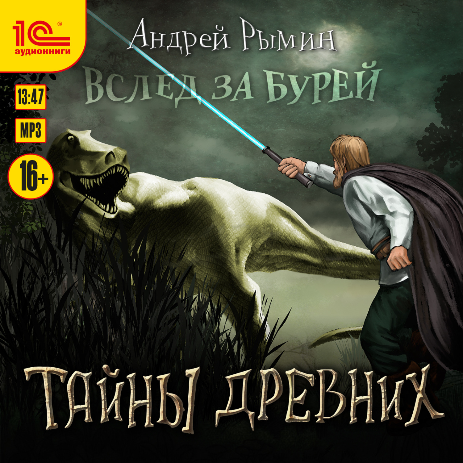 Обложка книги «Вслед за бурей. Тайны древних»