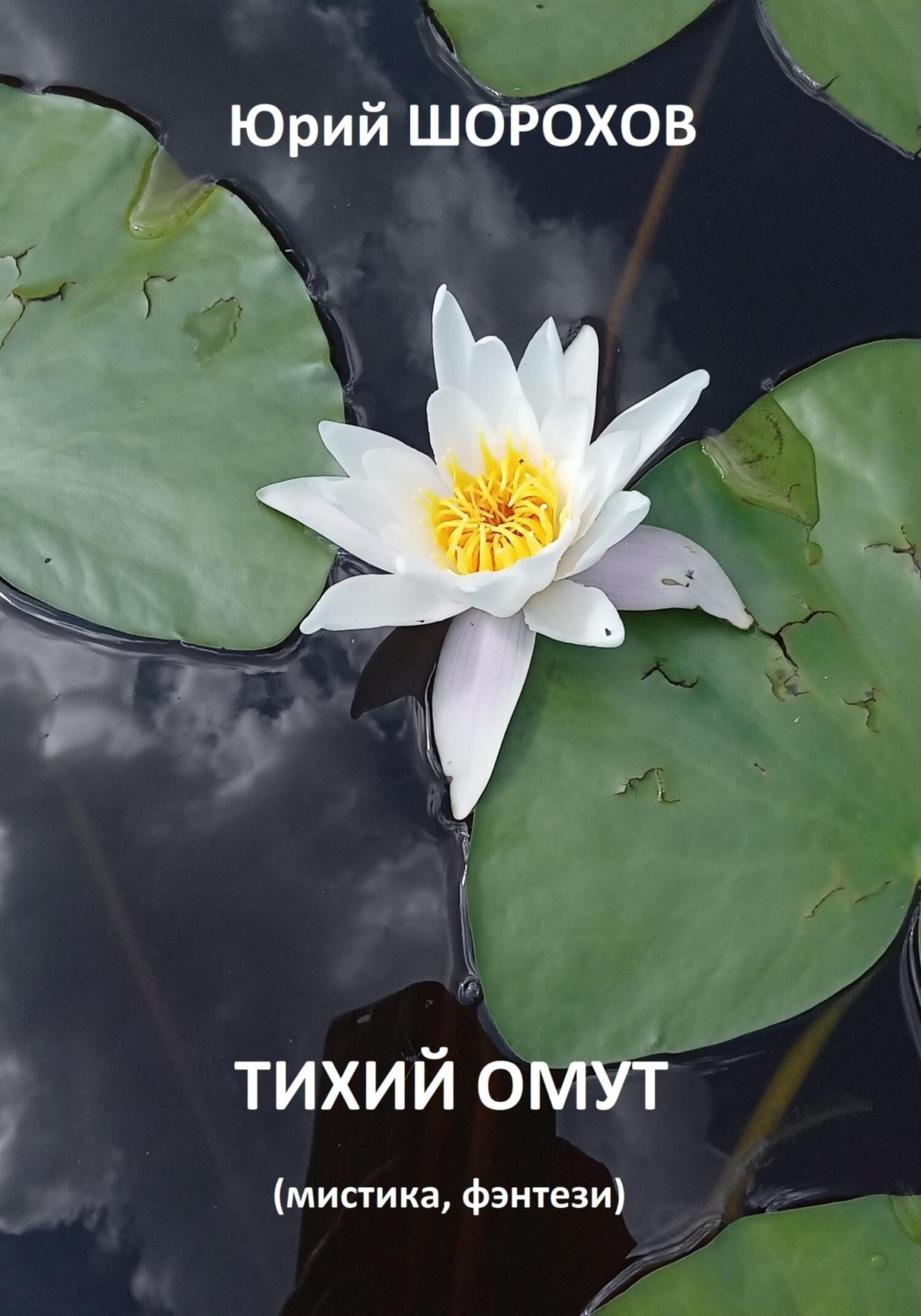 Обложка книги «Тихий омут»