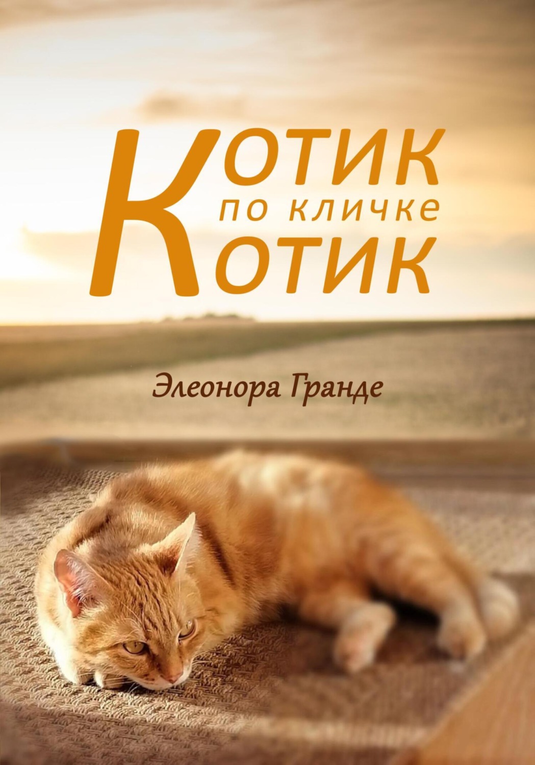 Обложка книги «Котик по кличке Котик»