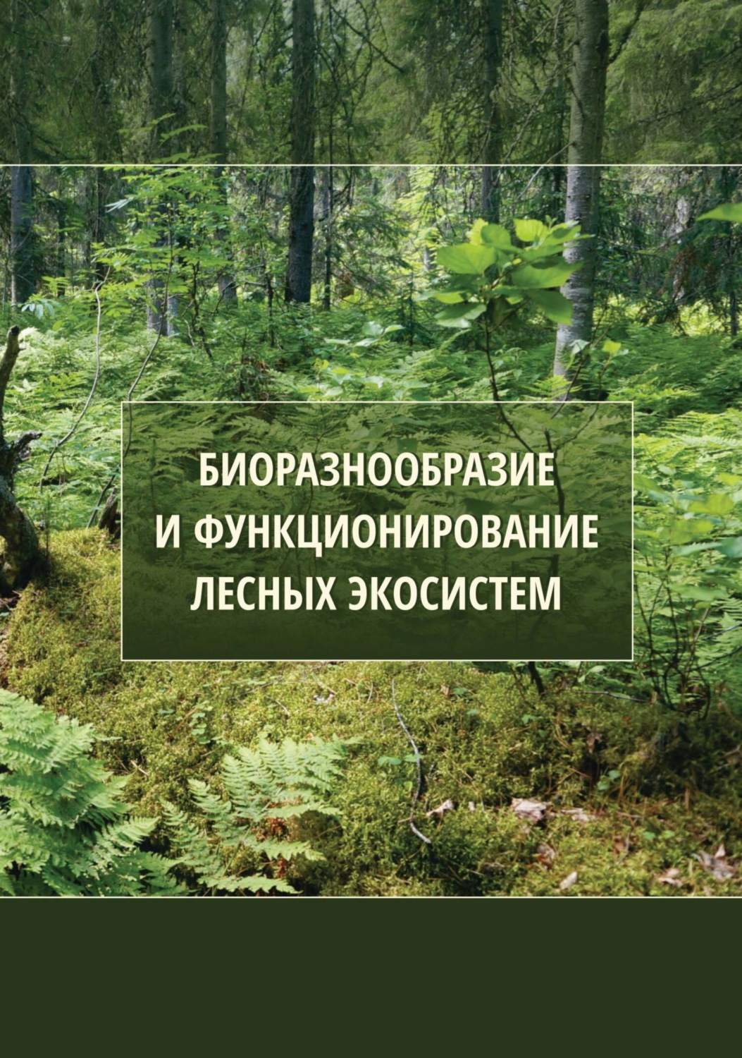 Обложка книги «Биоразнообразие и функционирование лесных экосистем»