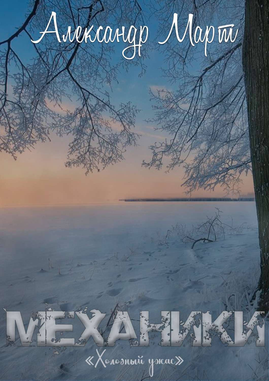 Обложка книги «Механики. Холодный ужас»