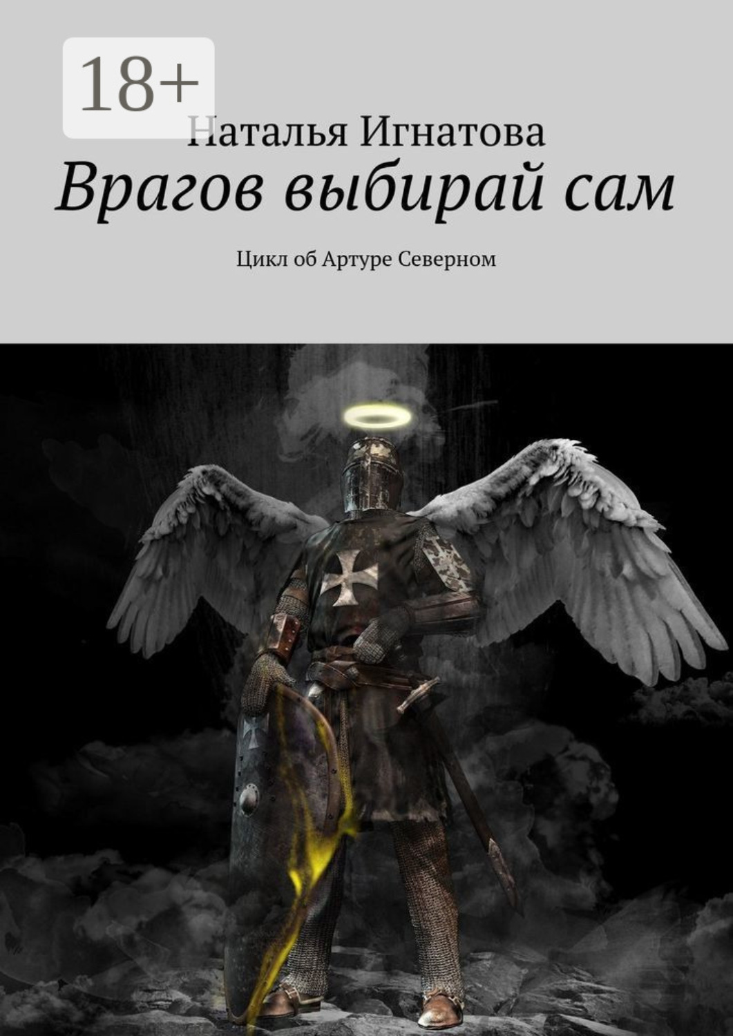 Обложка книги «Врагов выбирай сам. Цикл об Артуре Северном»