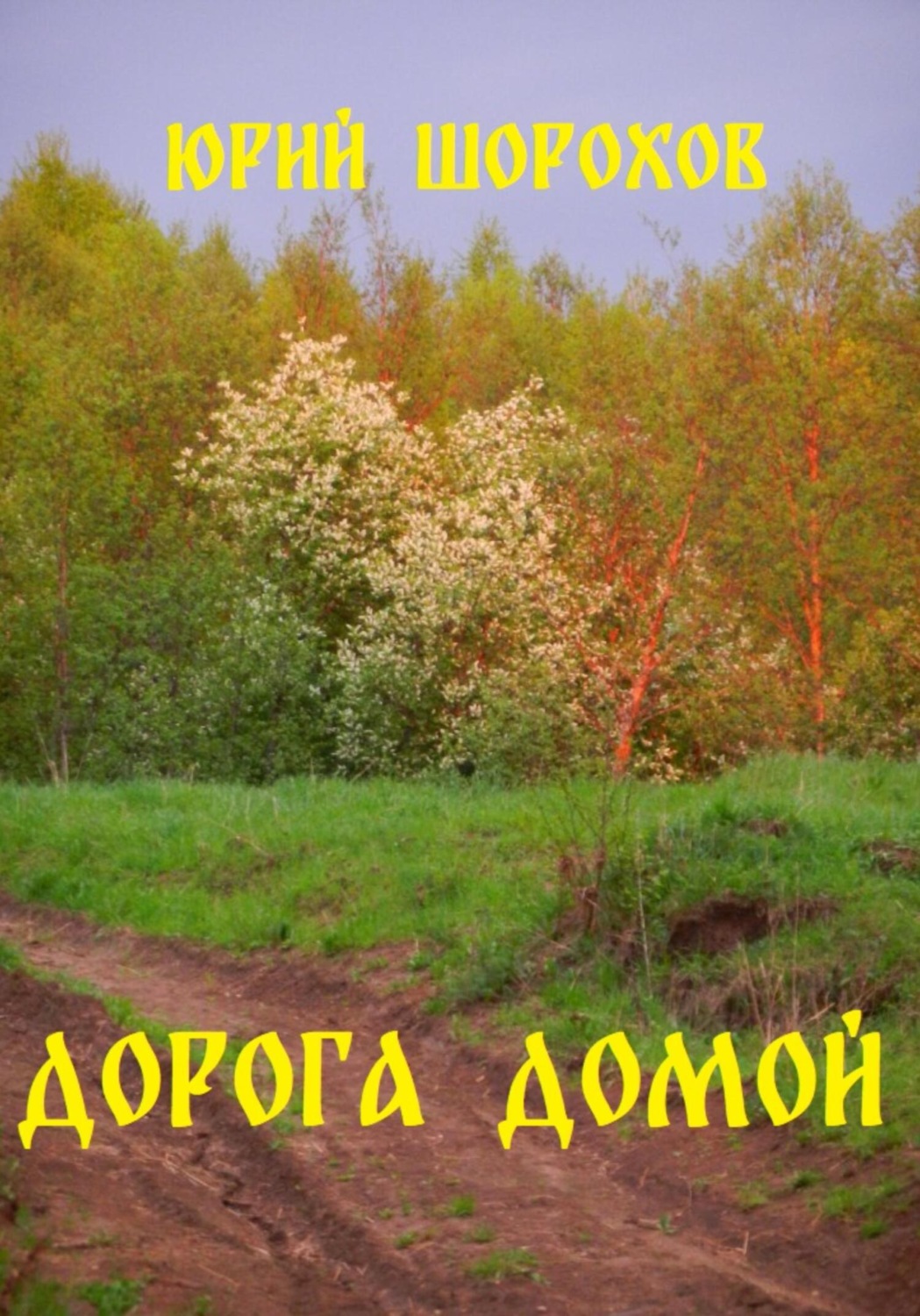 Обложка книги «Дорога домой»