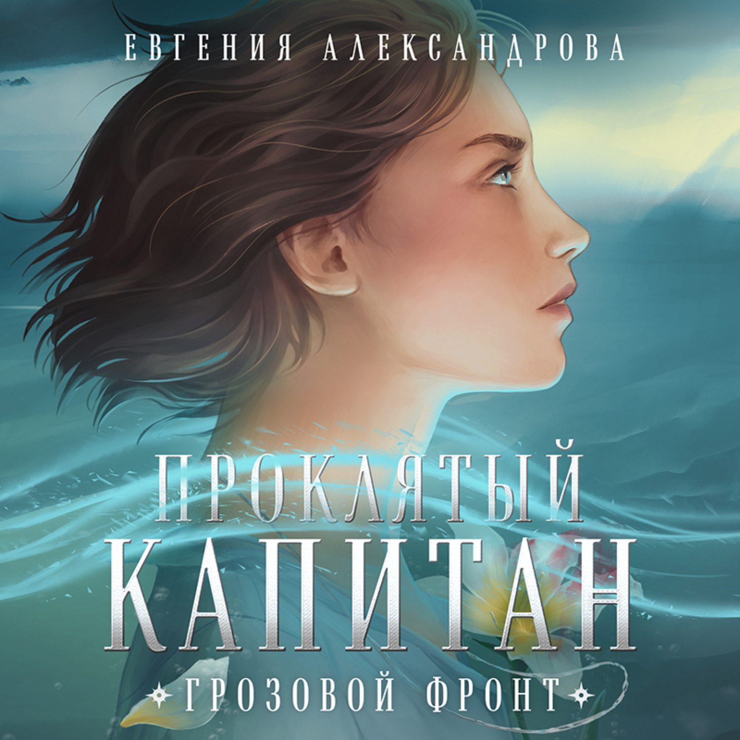 Обложка книги «Проклятый капитан. Грозовой фронт»