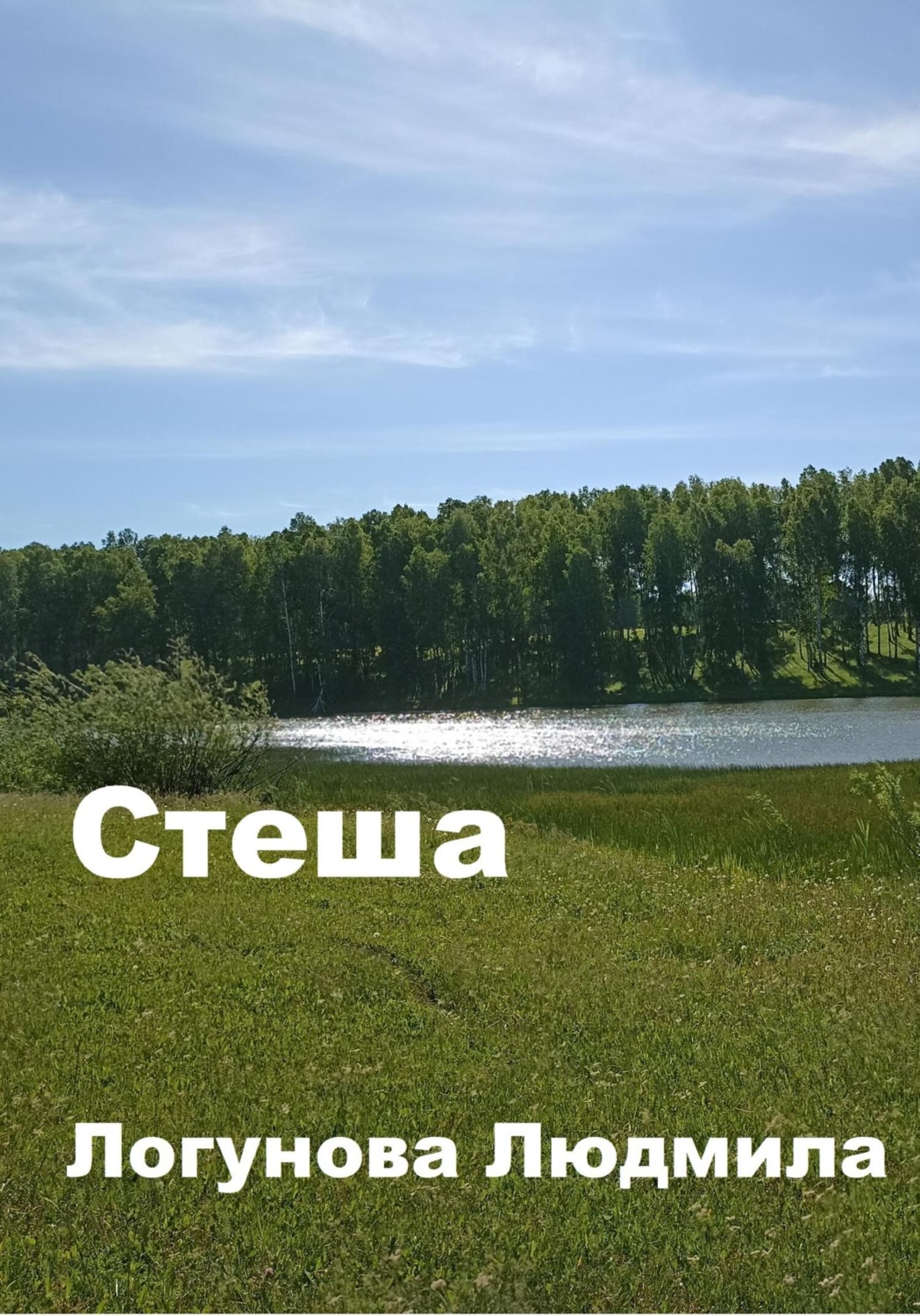 Обложка книги «Стеша»