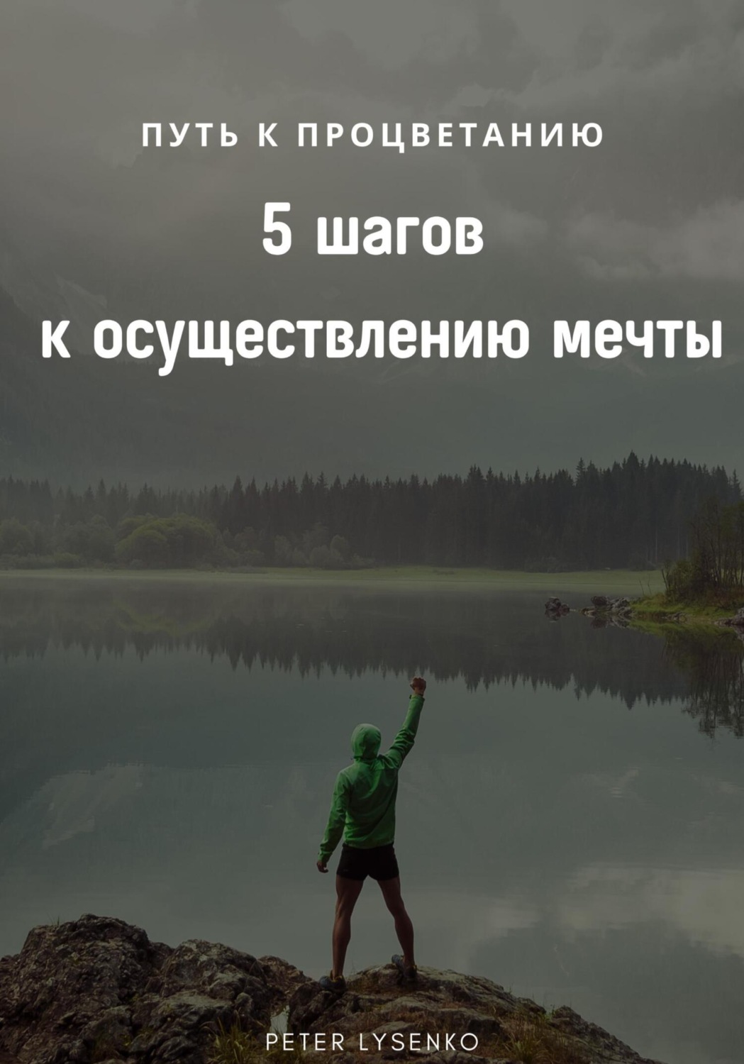 Обложка книги «Путь к процветанию: пять шагов к осуществлению мечты»