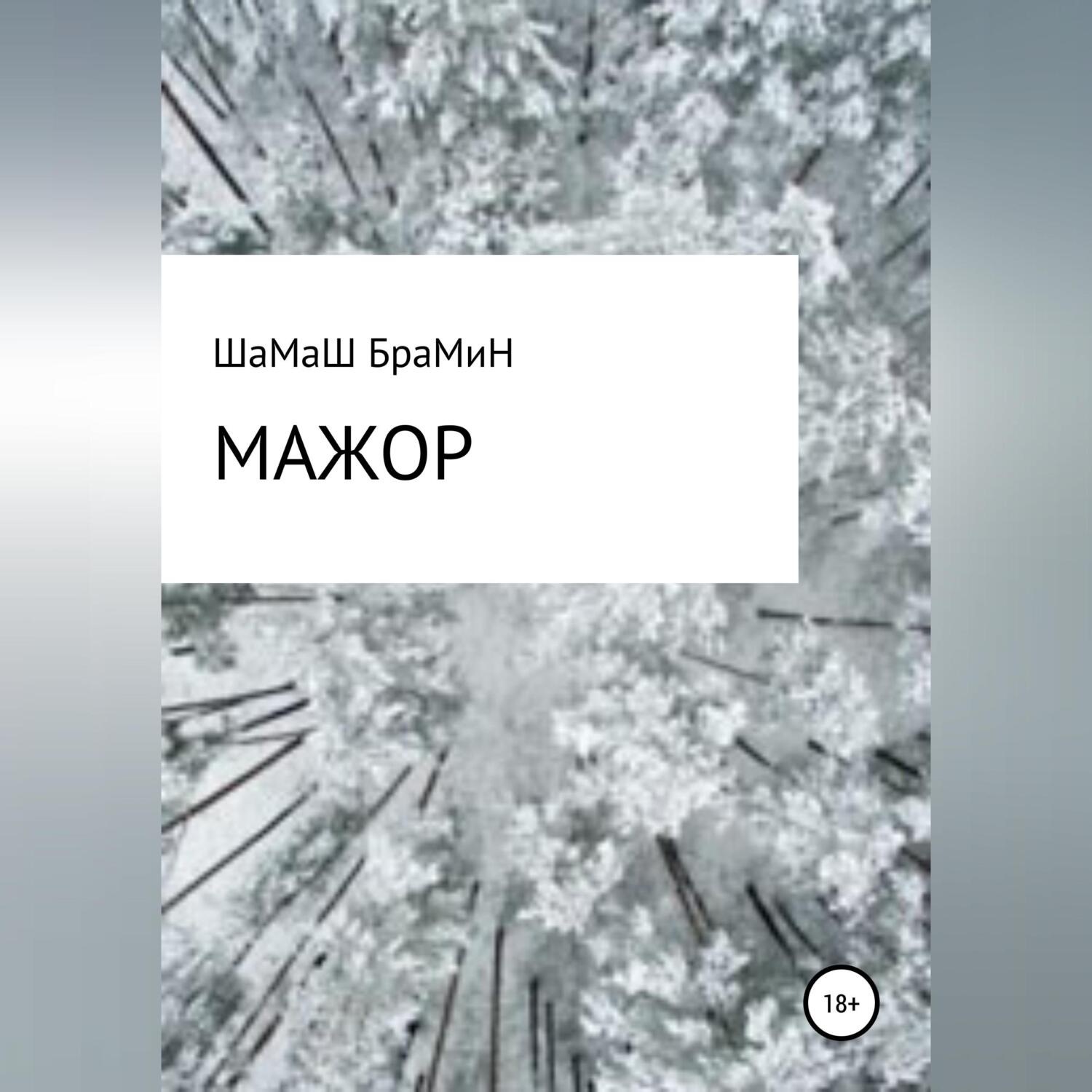Обложка книги «Мажор»