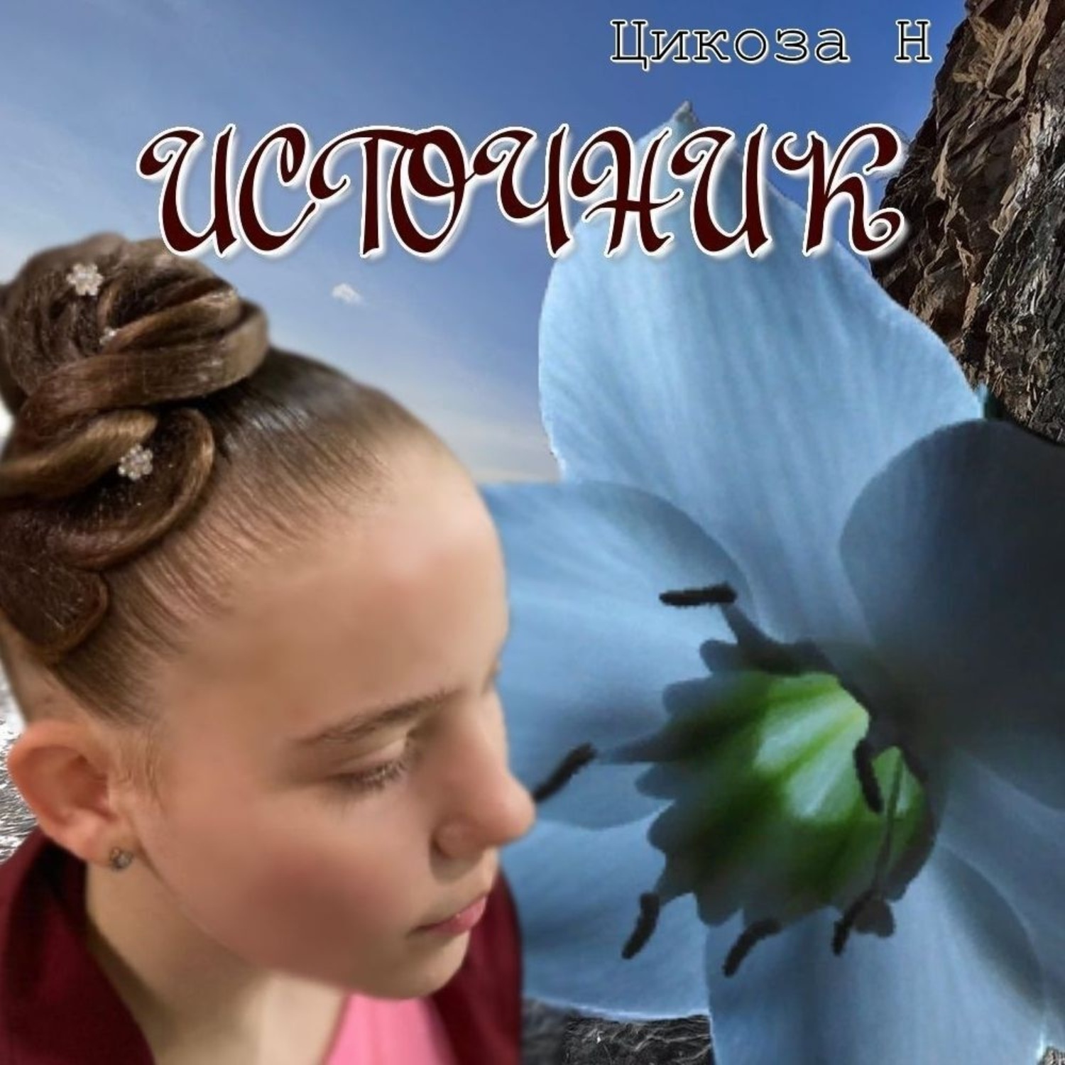 Обложка книги «Источник»