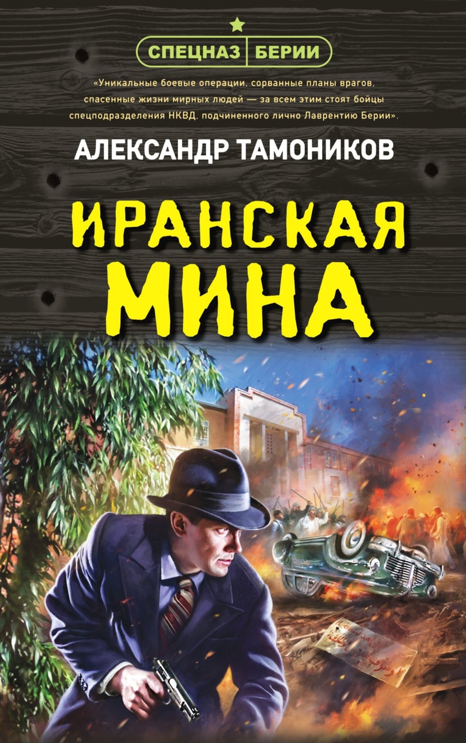 Обложка книги «Иранская мина»