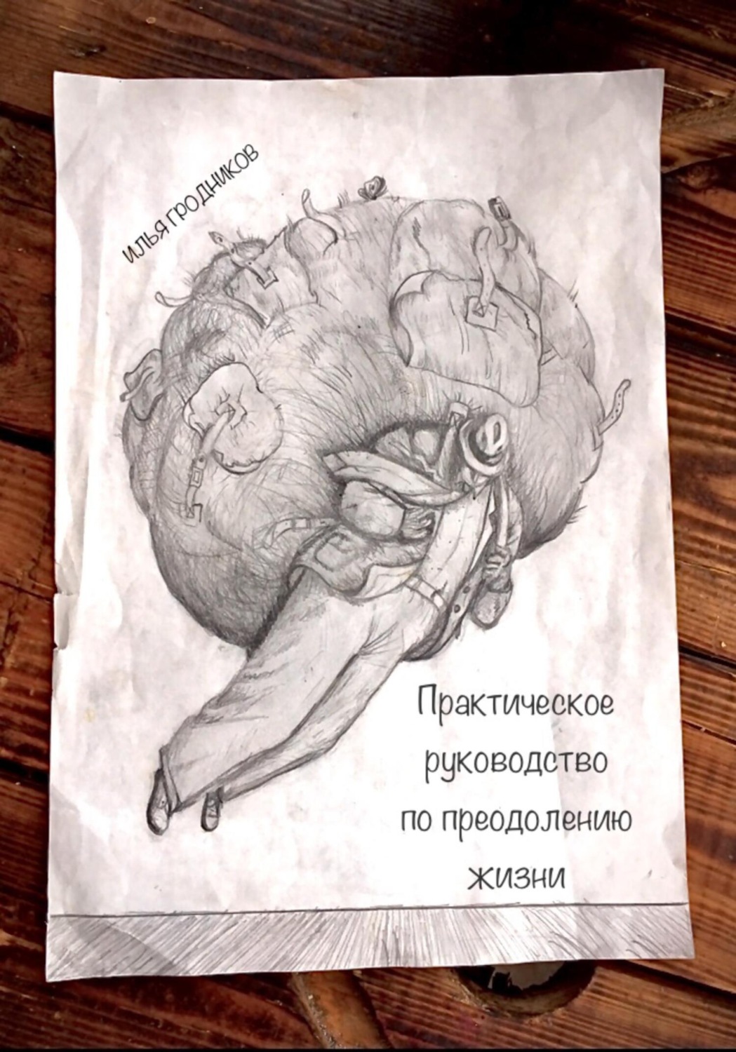 Обложка книги «Практическое руководство по преодолению жизни»