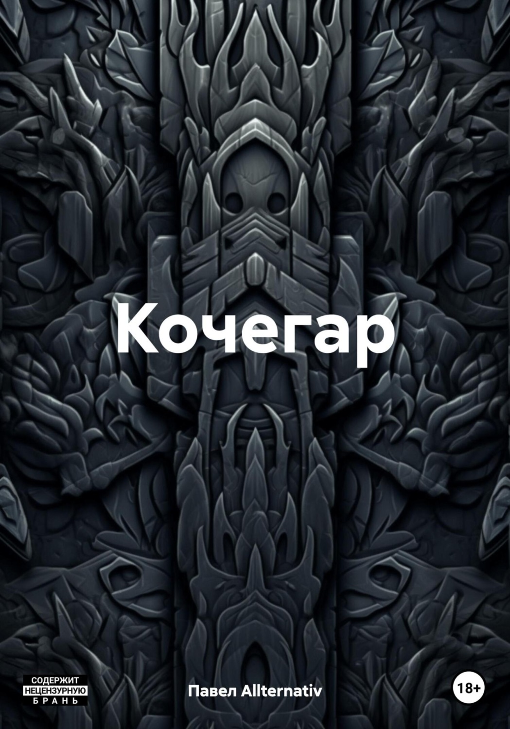 Обложка книги «Кочегар»