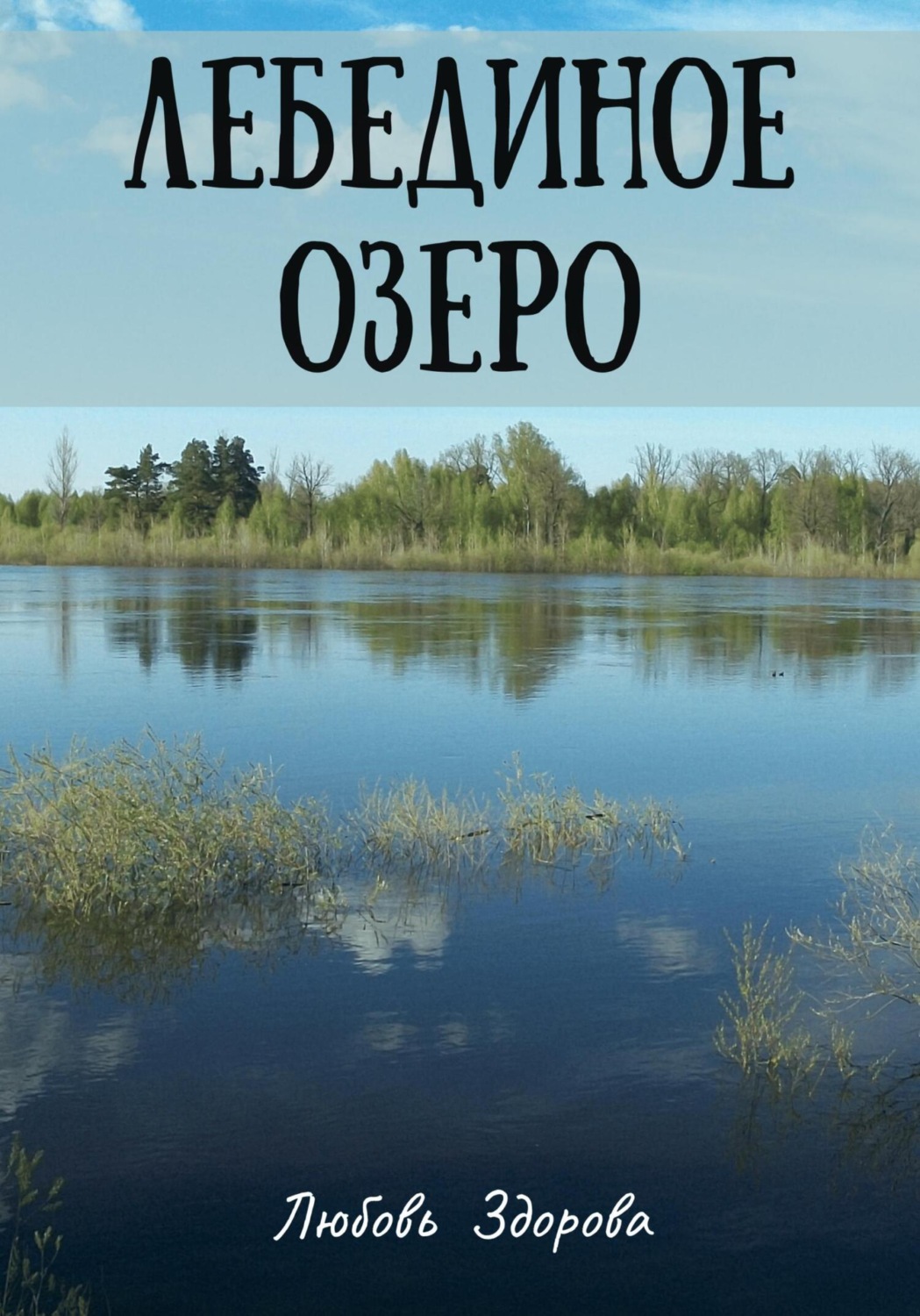 Обложка книги «Лебединое озеро»