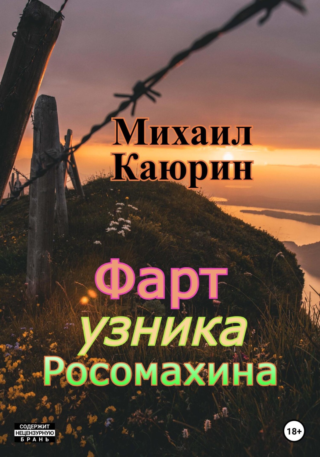 Обложка книги «Фарт узника Росомахина»