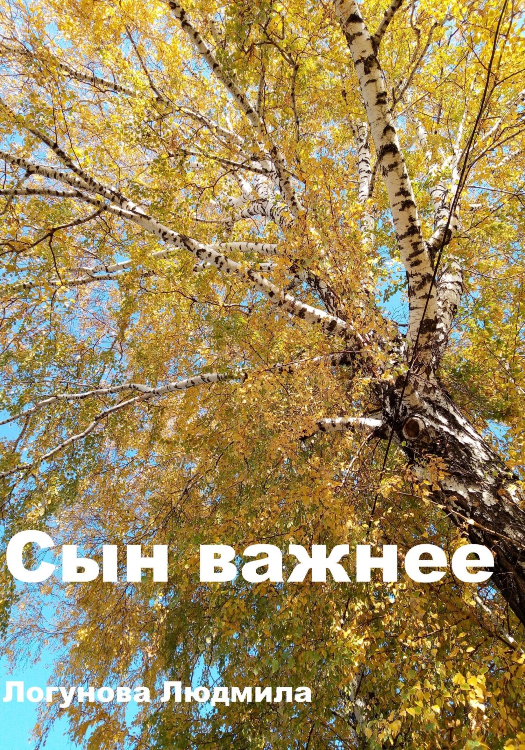 Обложка книги «Сын важнее»