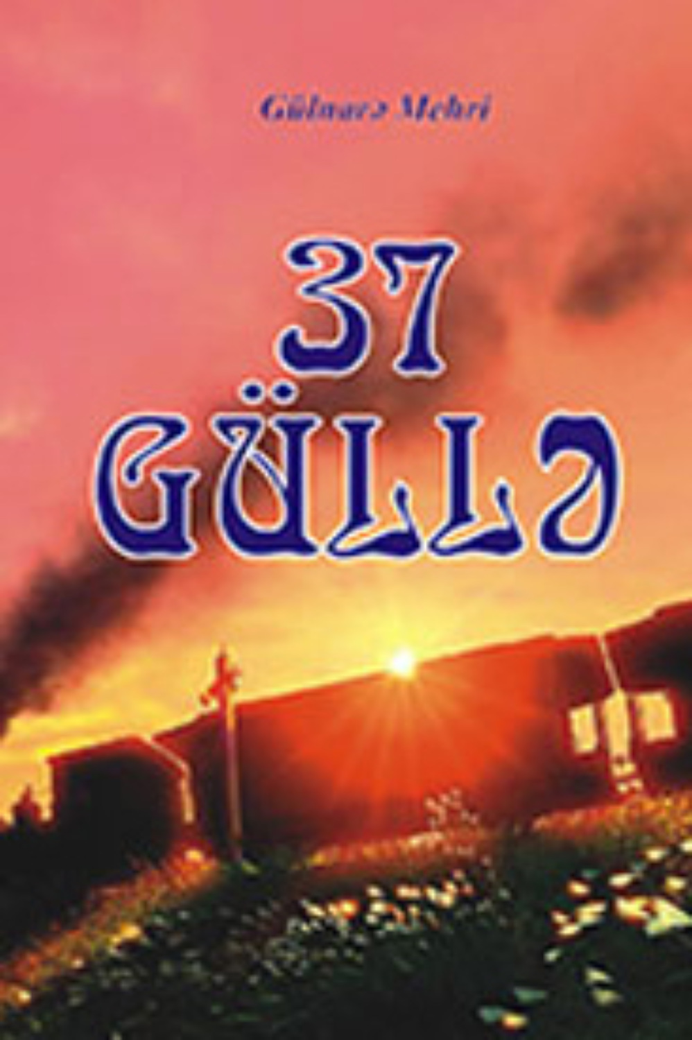 Обложка книги «37 güllə»