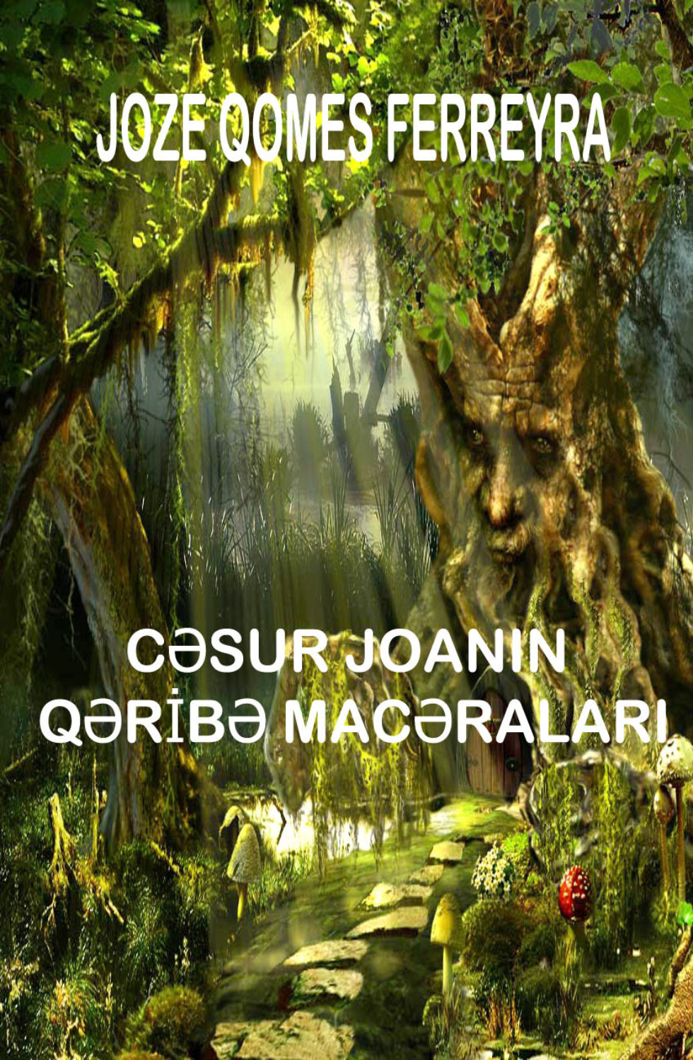 Обложка книги «Cəsur Joananın qəribə macəraları»