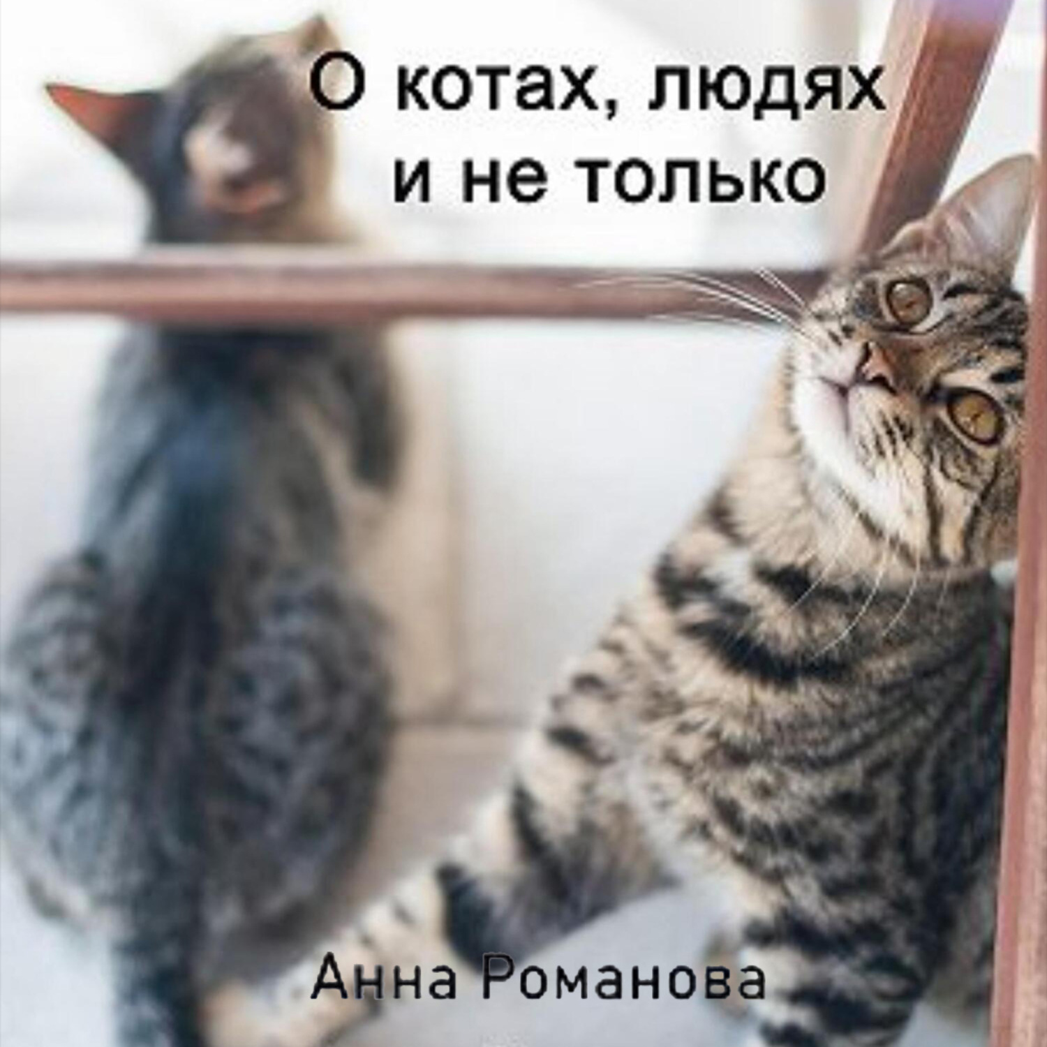 Обложка книги «О котах, людях и не только»