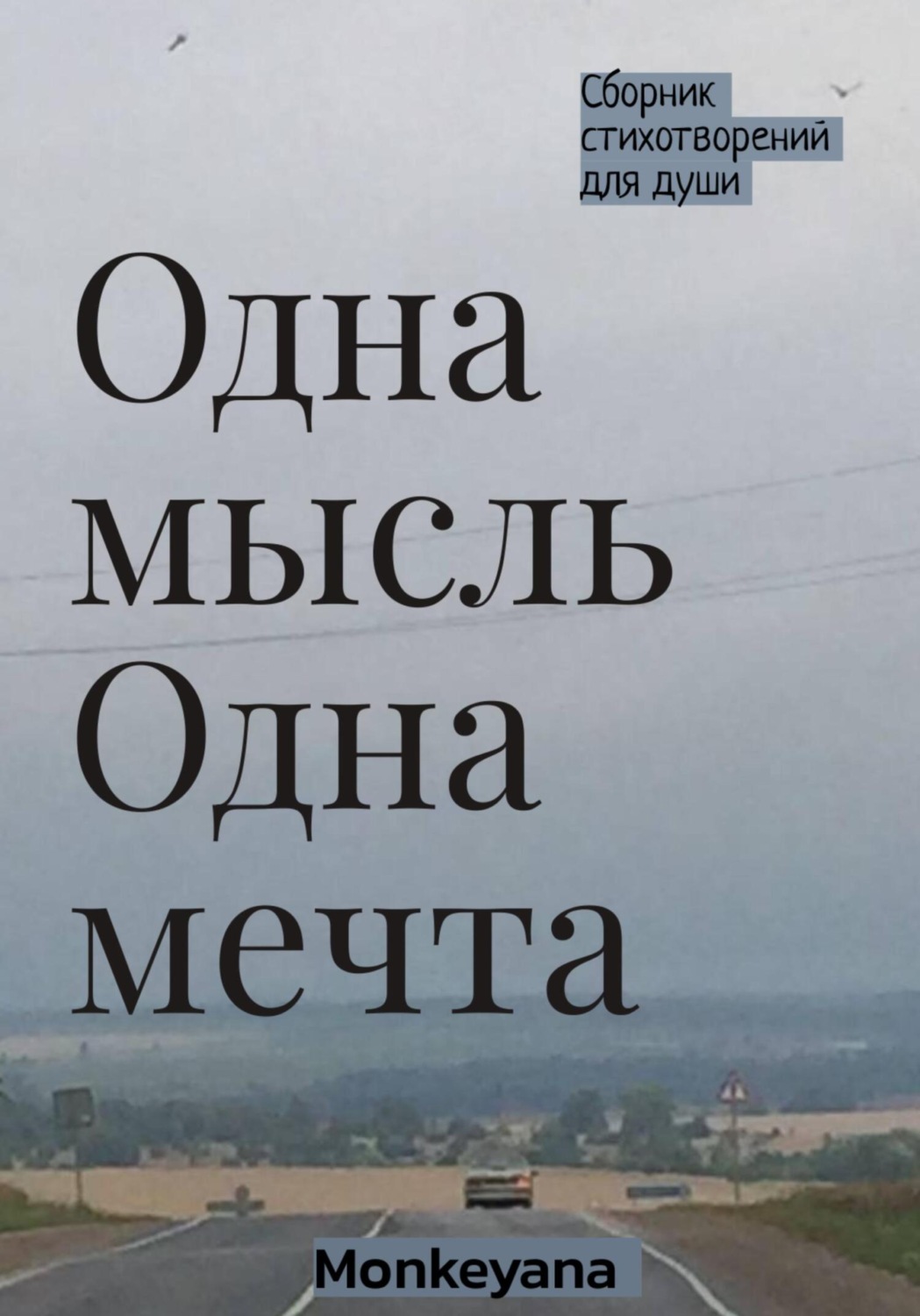 Обложка книги «Одна мысль. Одна мечта»