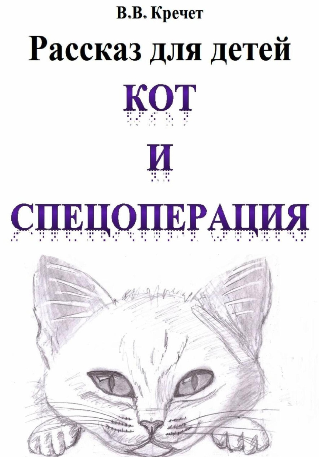 Обложка книги «Кот и спецоперация»