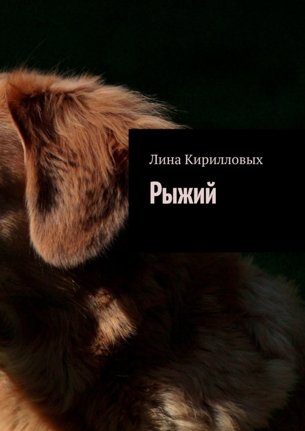Обложка книги «Рыжий»