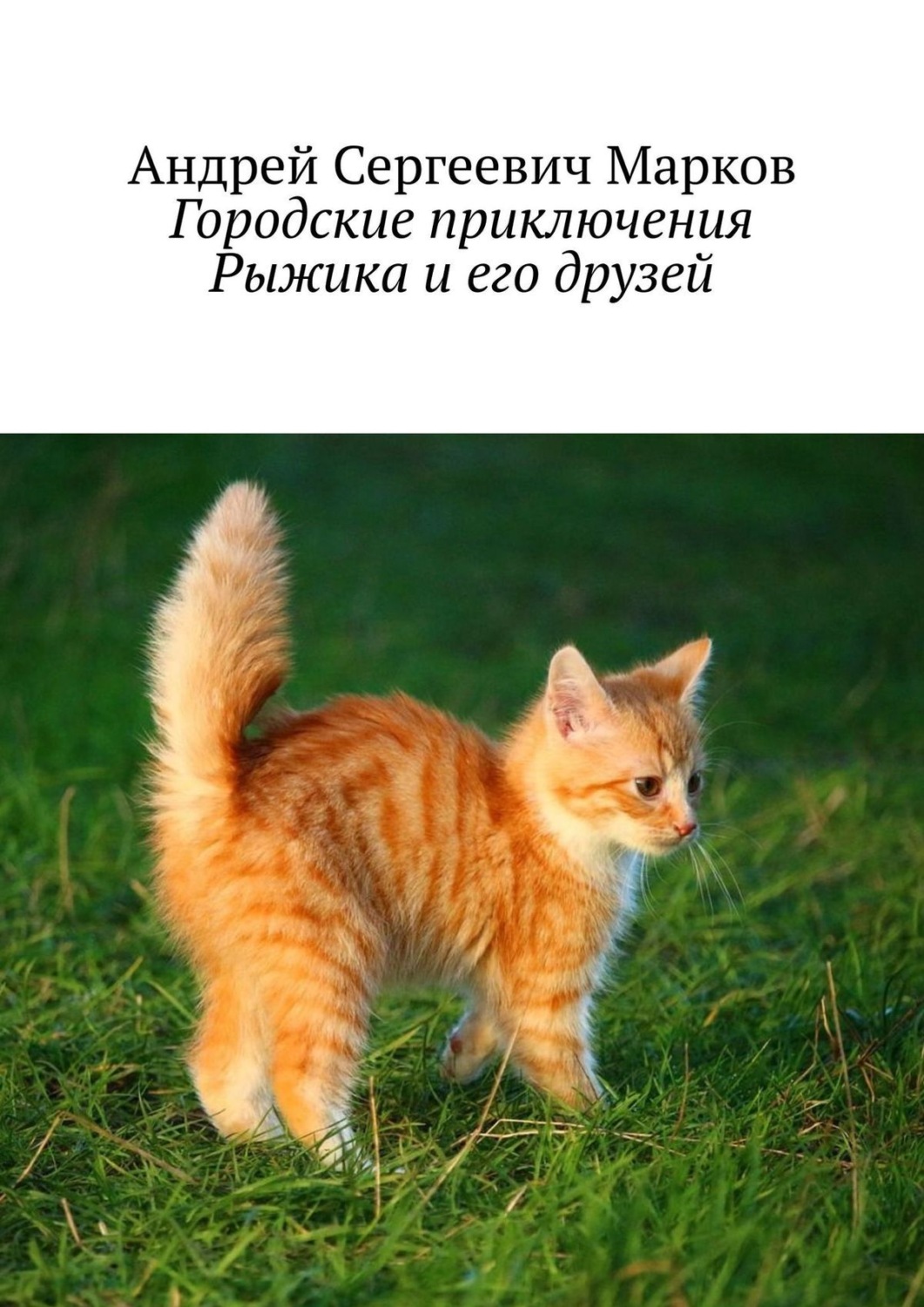 Обложка книги «Городские приключения Рыжика и его друзей»