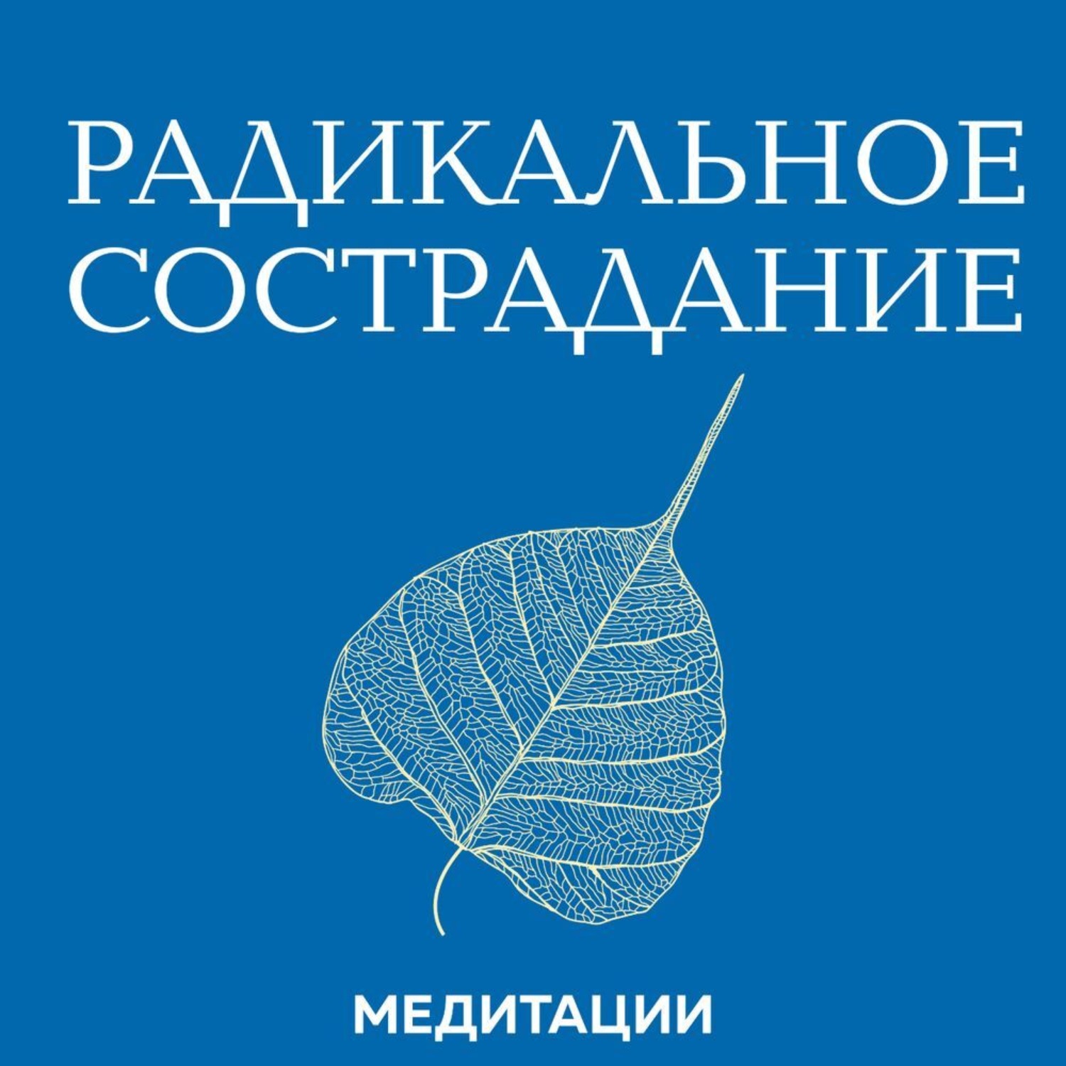 Обложка книги «Медитации к книге «Радикальное сострадание»»