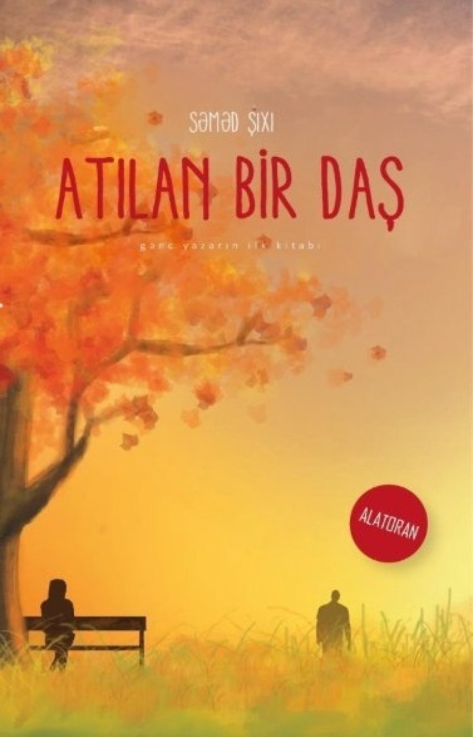 Обложка книги «Atılan bir daş»