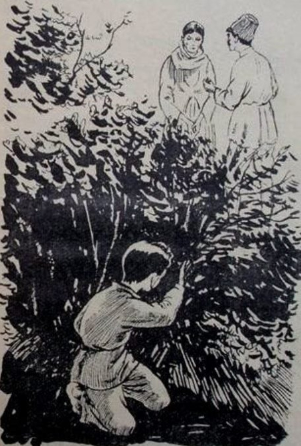 Обложка книги «Nurəddin»