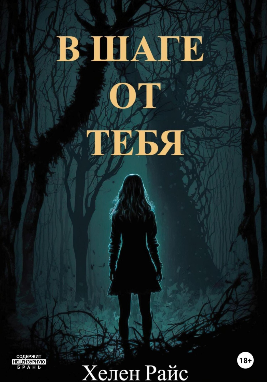 Обложка книги «В шаге от тебя»