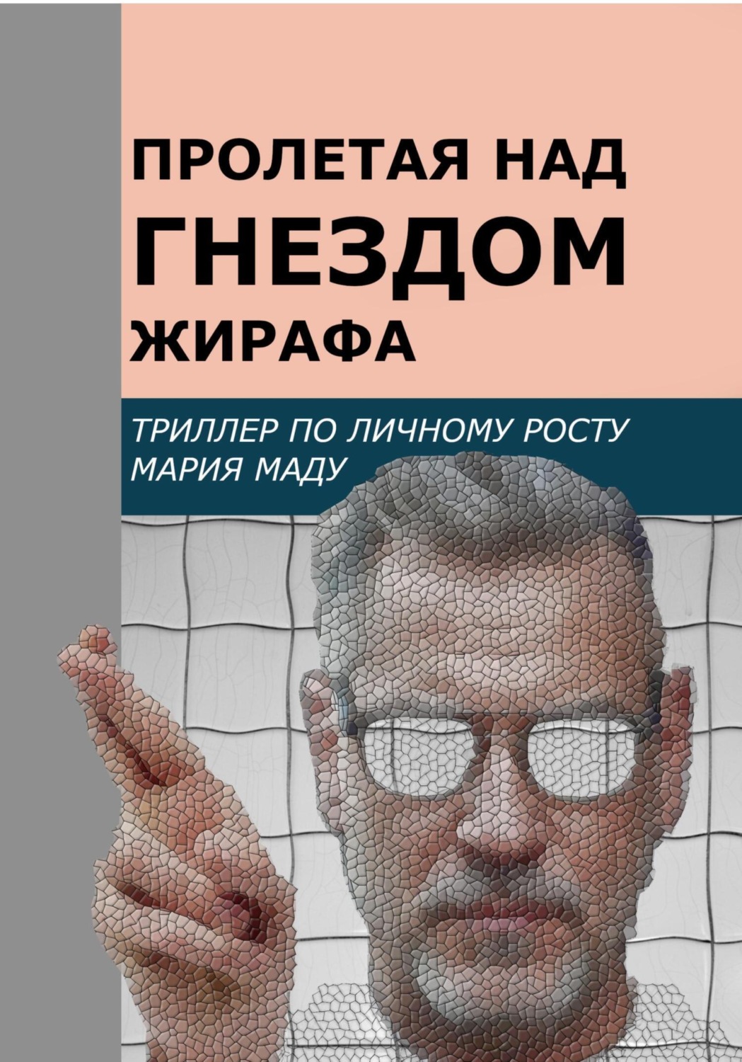 Обложка книги «Пролетая над гнездом жирафа»
