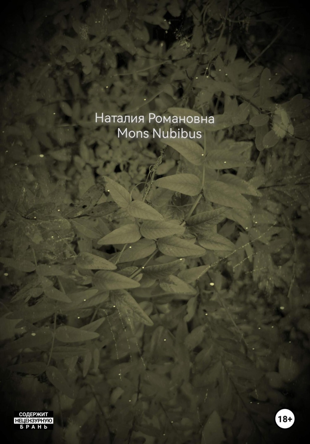 Обложка книги «Mons Nubibus»