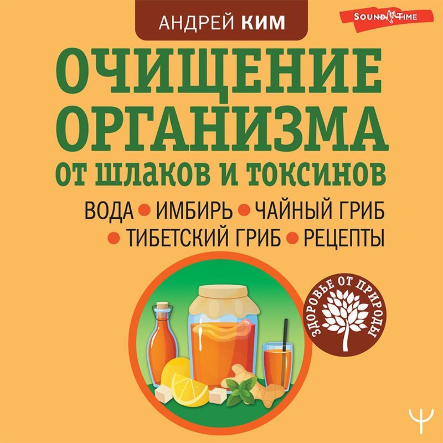Обложка книги «Очищение организма от шлаков и токсинов. Вода. Имбирь. Чайный гриб. Тибетский гриб. Рецепты»