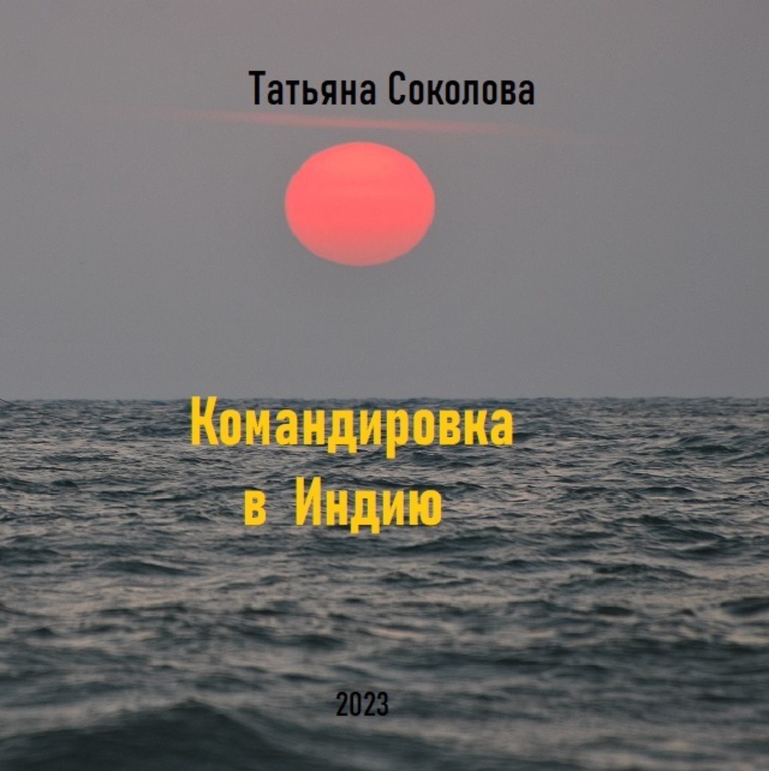 Обложка книги «Командировка в Индию»