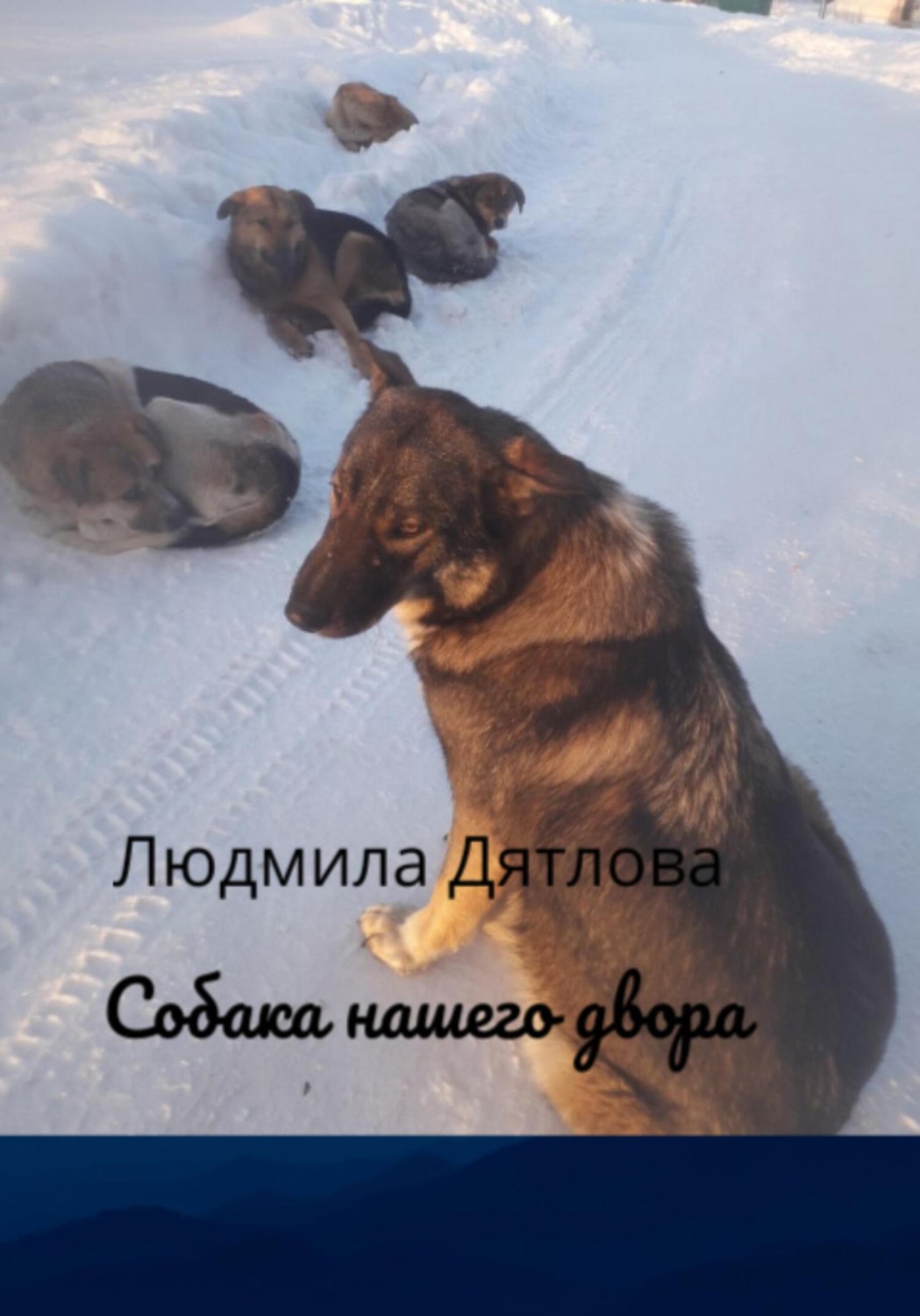 Обложка книги «Собака нашего двора»